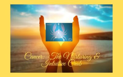 Cancer: The Nurturing & Intuitive Crab