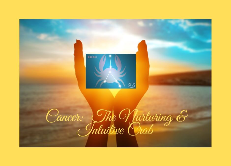 Cancer: The Nurturing & Intuitive Crab