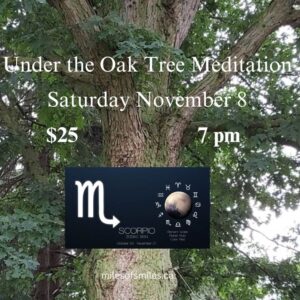 Under the Oak Tree Meditation – Sun in Scorpio Saturday November 8