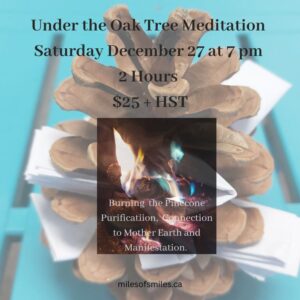 Under the Oak Tree Meditation  Saturday December 27