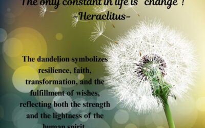 The Only Constant is Change: A New Rhythm for Miles of Smiles 🌼💨